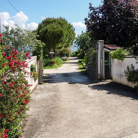 La Staccionata Villa Arpino Exterior foto