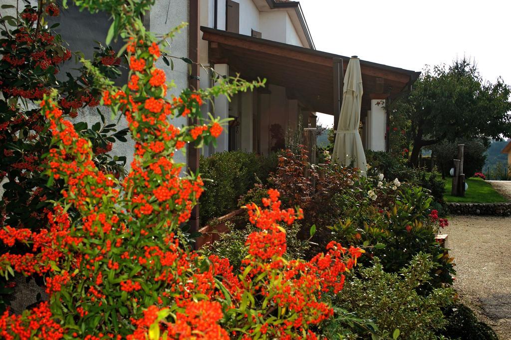La Staccionata Villa Arpino Exterior foto