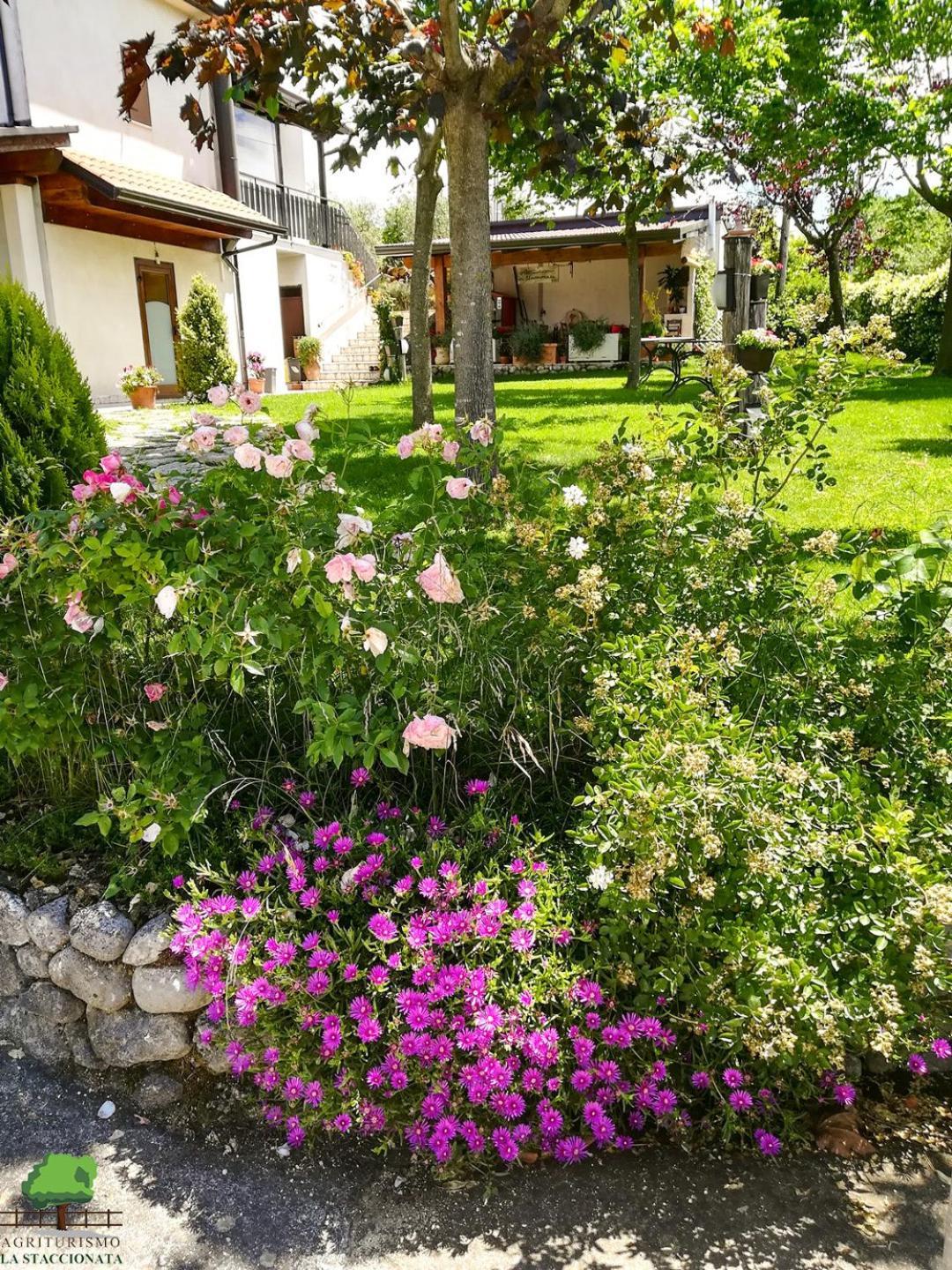 La Staccionata Villa Arpino Exterior foto